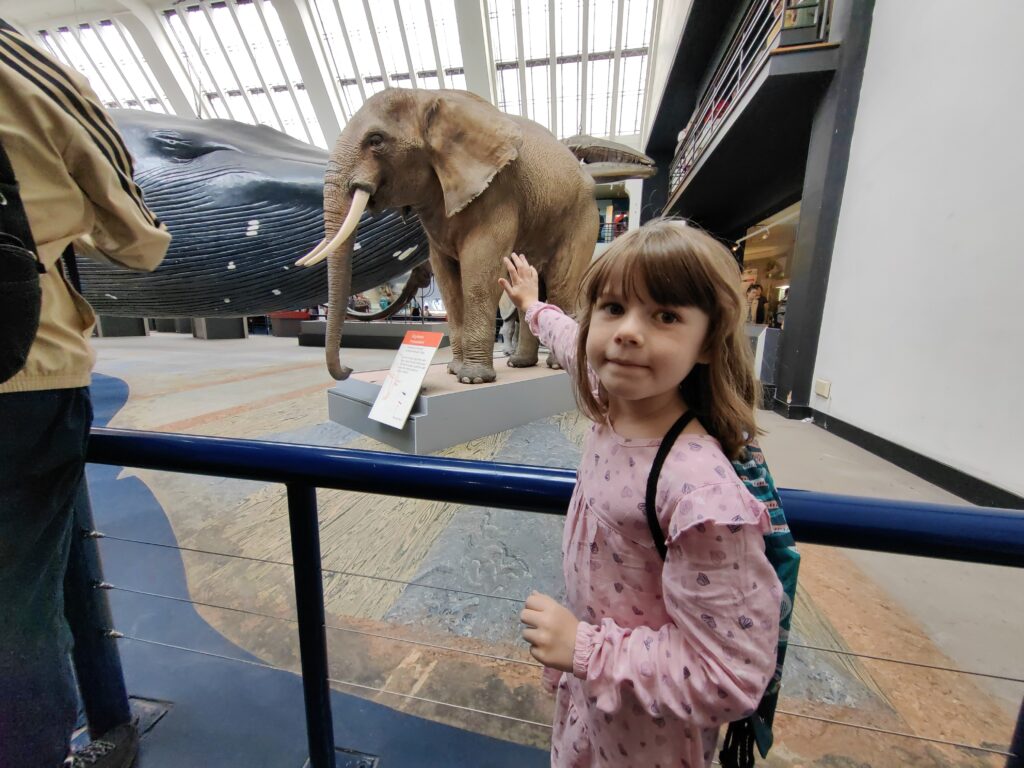 Natural history Museum 