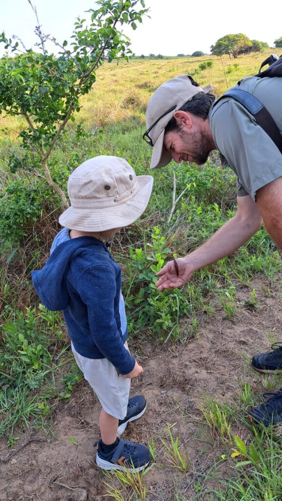 local nature initiatives
