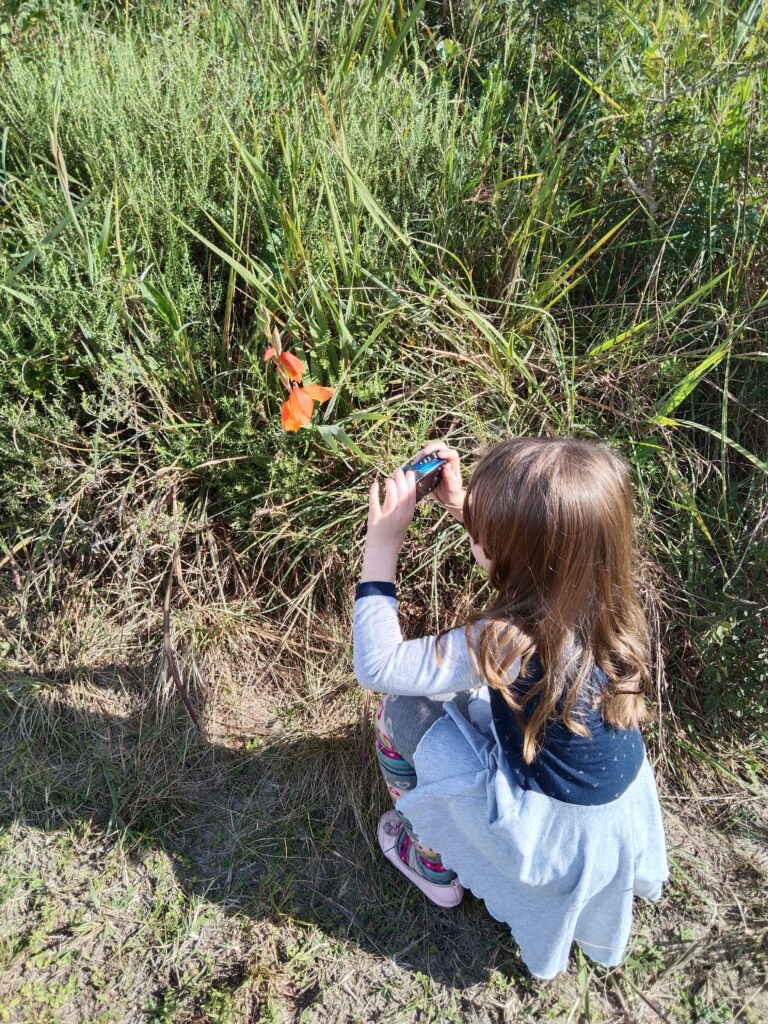How to Get Your Kids Involved in Local Nature Initiatives (And Why It Matters More Than You Think)