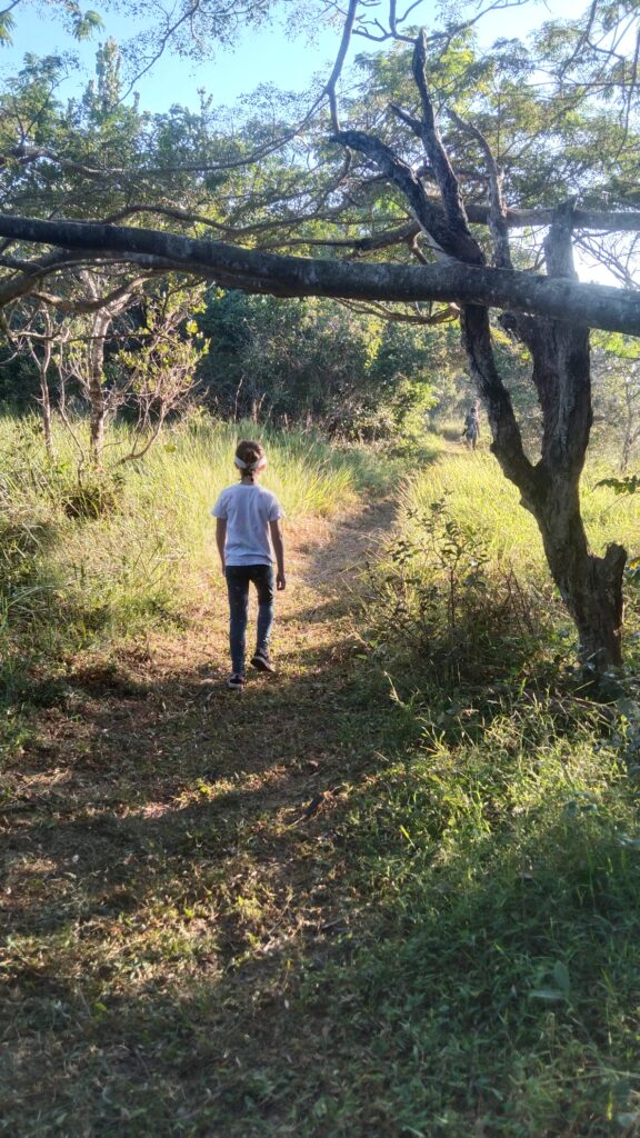 Taking a walk as part of the city nature walk initiative 