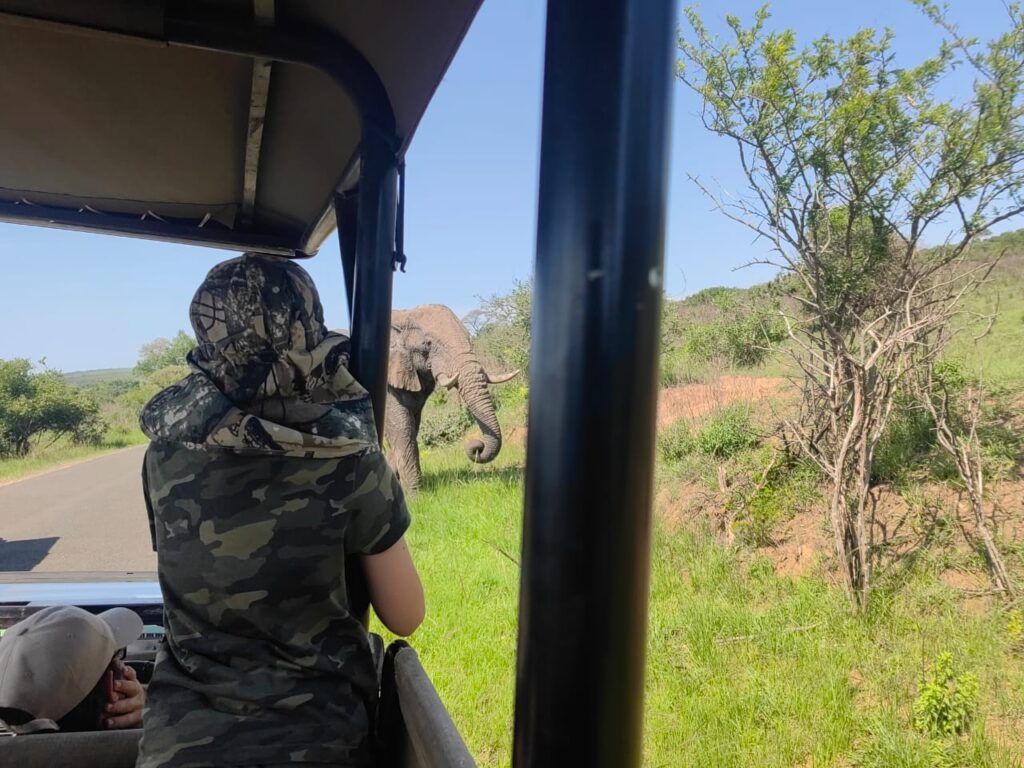 an open safari vehicle for families