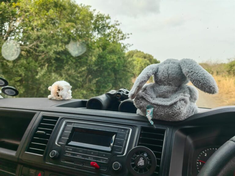 Safari with a Neurodivergent Child – Your Honest Questions Answered