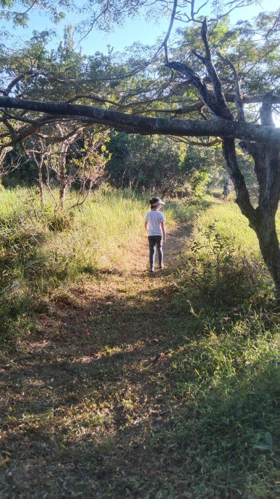 screen-free-nature-activities-kids
